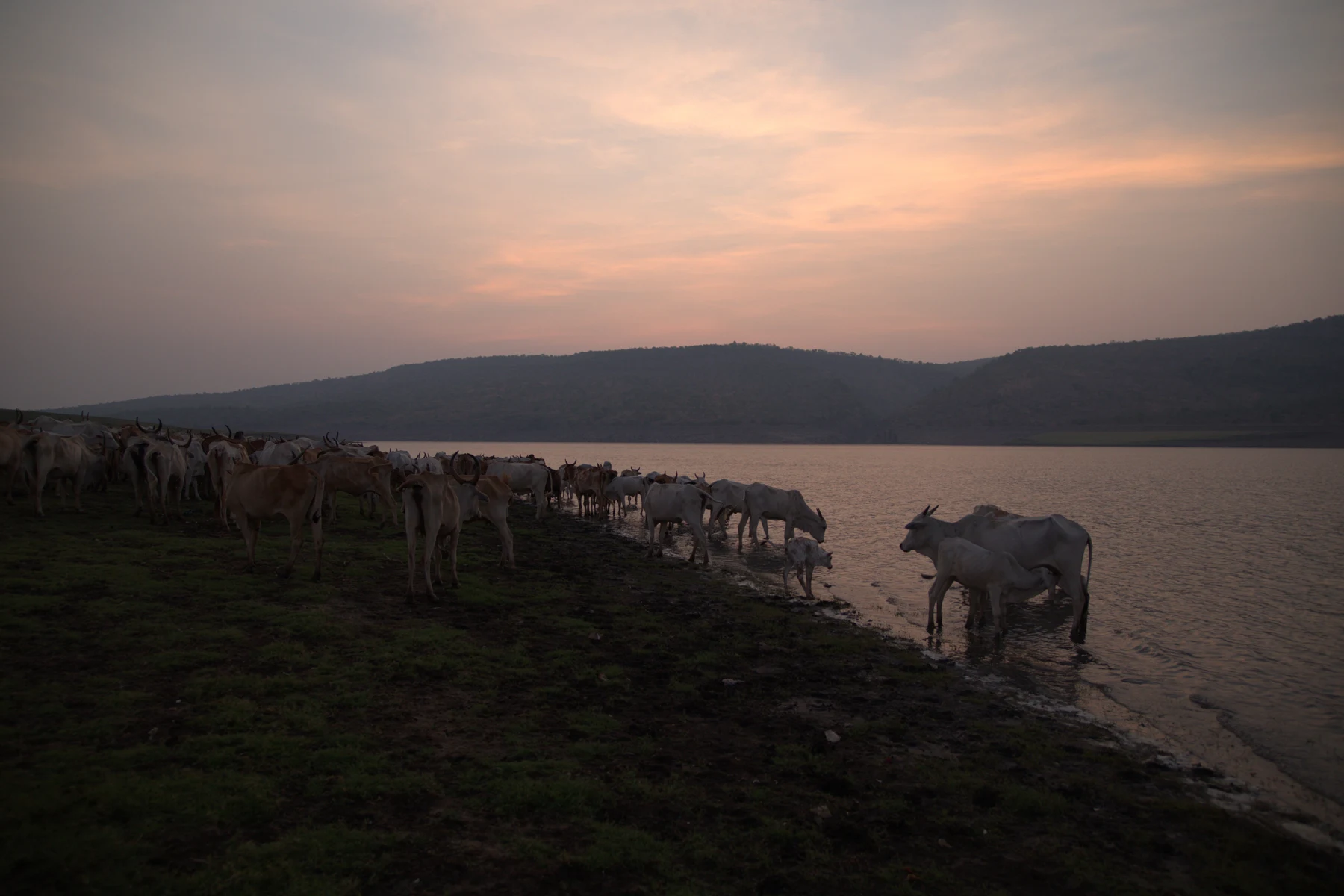 Evening light over the river and its banks.