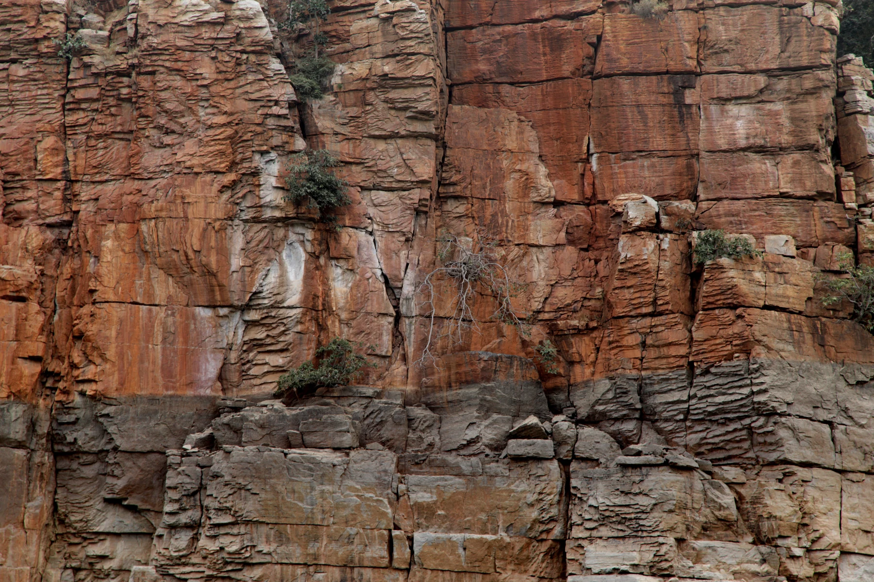 The rocky walls of Nallamala.