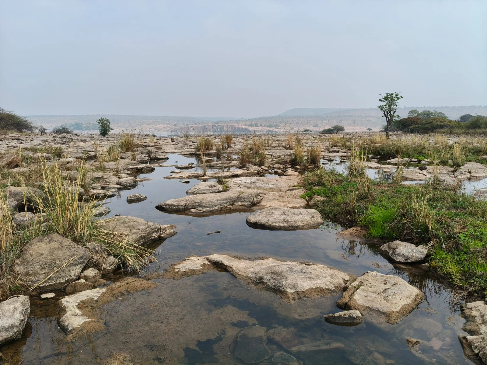 A shallow stream winds through a rocky bed.