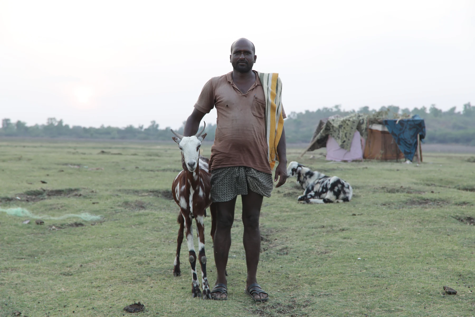 A livestock keeper carrying a young animal.