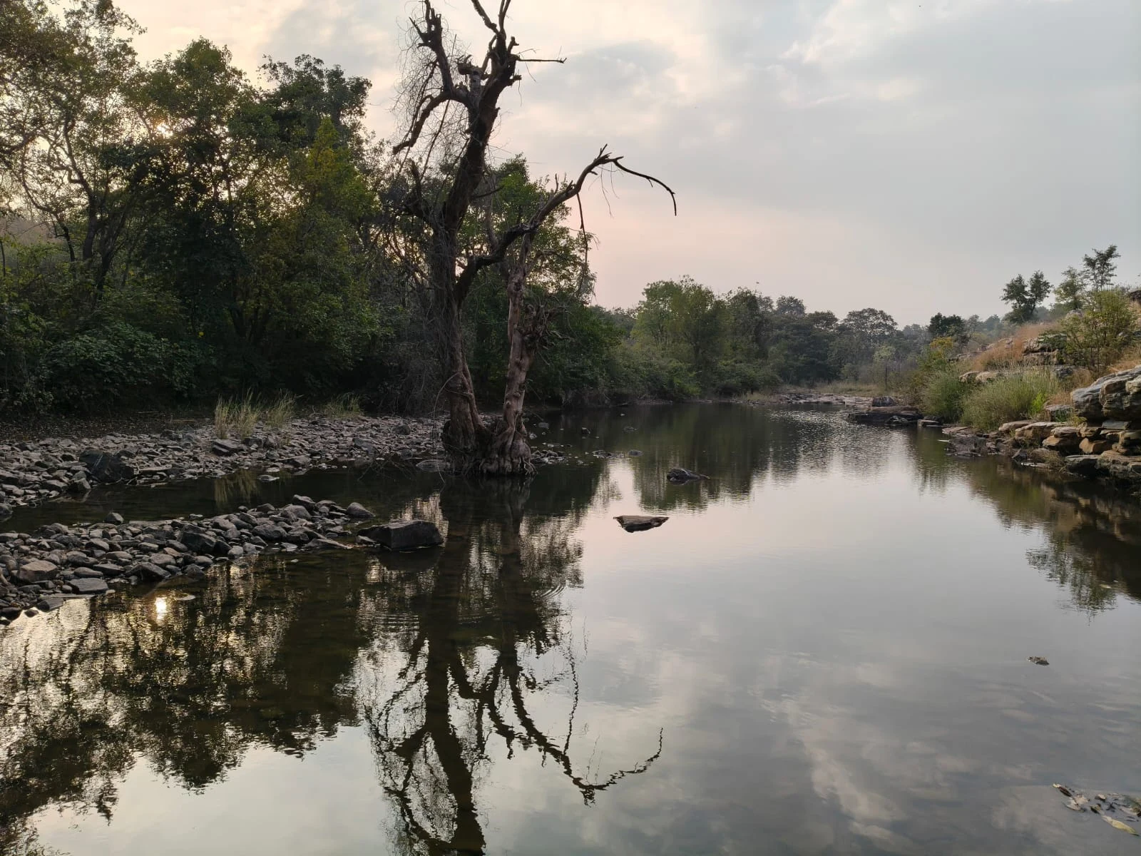 Trees reflected in a quiet river.