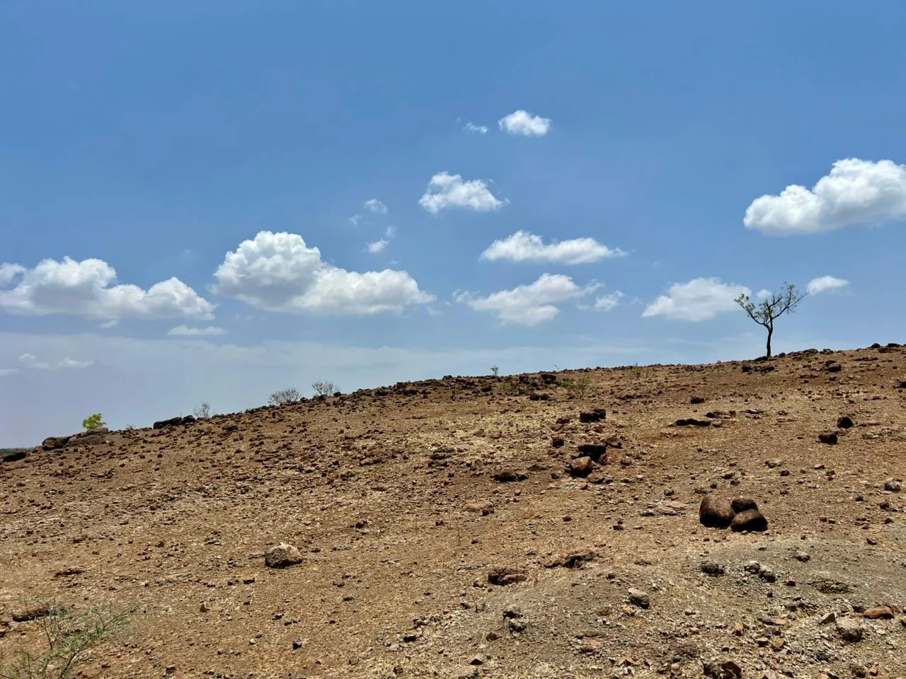 Dry rural landscape.