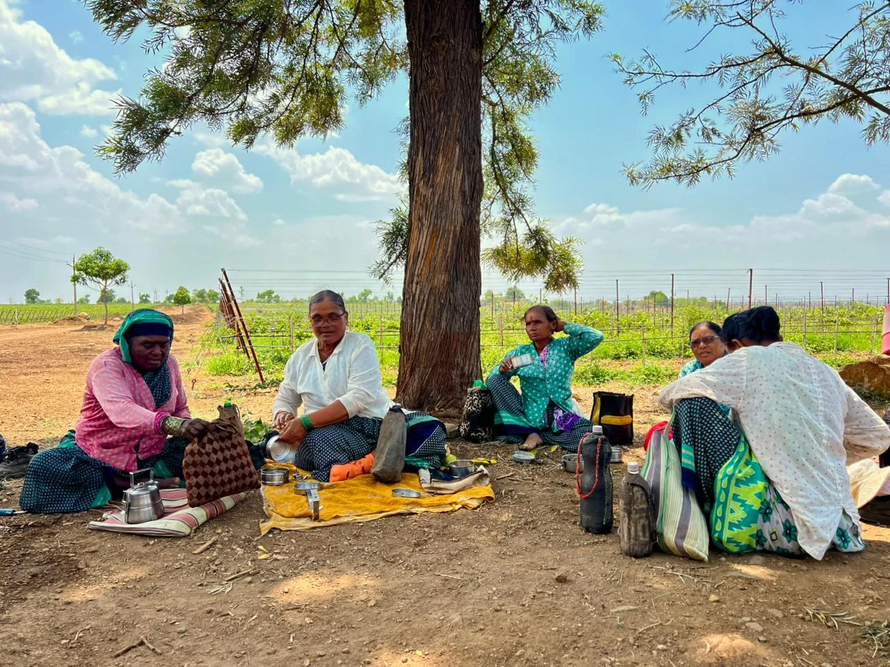 A gathering under the shade of a tree.