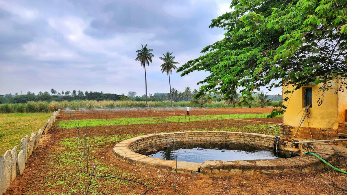 Hydroecological Life: open wells, neighbourhoods and recovered objects