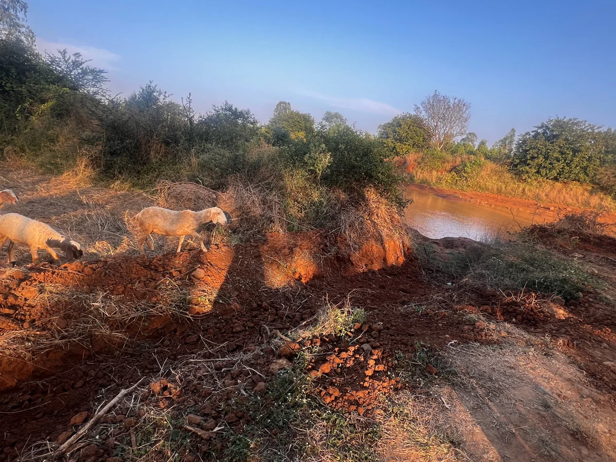 Ecological Life: fire, lake and water structures