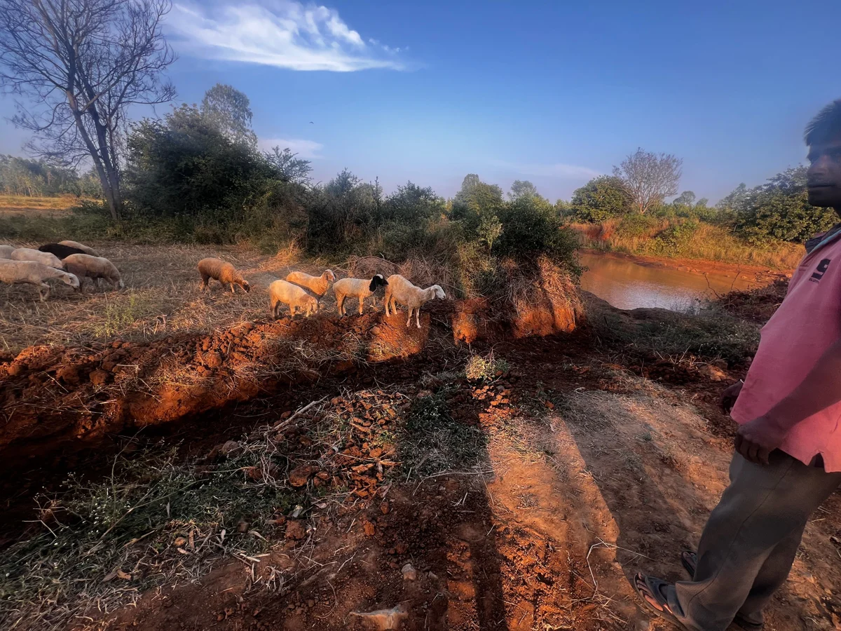 Ecological Life: fire, lake and water structures