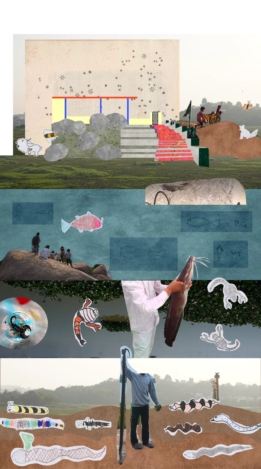 Mir Alam Tank: ecological observations and children’s drawings