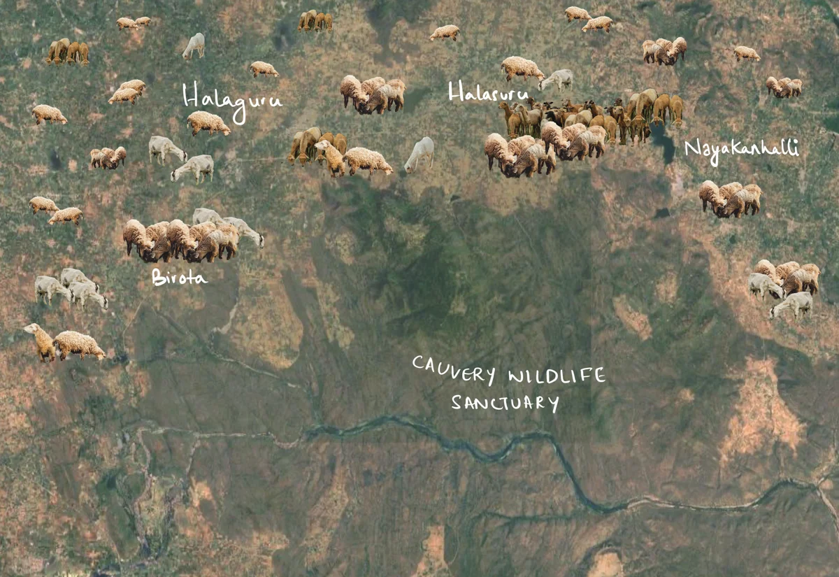 The confluence of the Arkavathi and Kaveri, with sanctuary field imagery