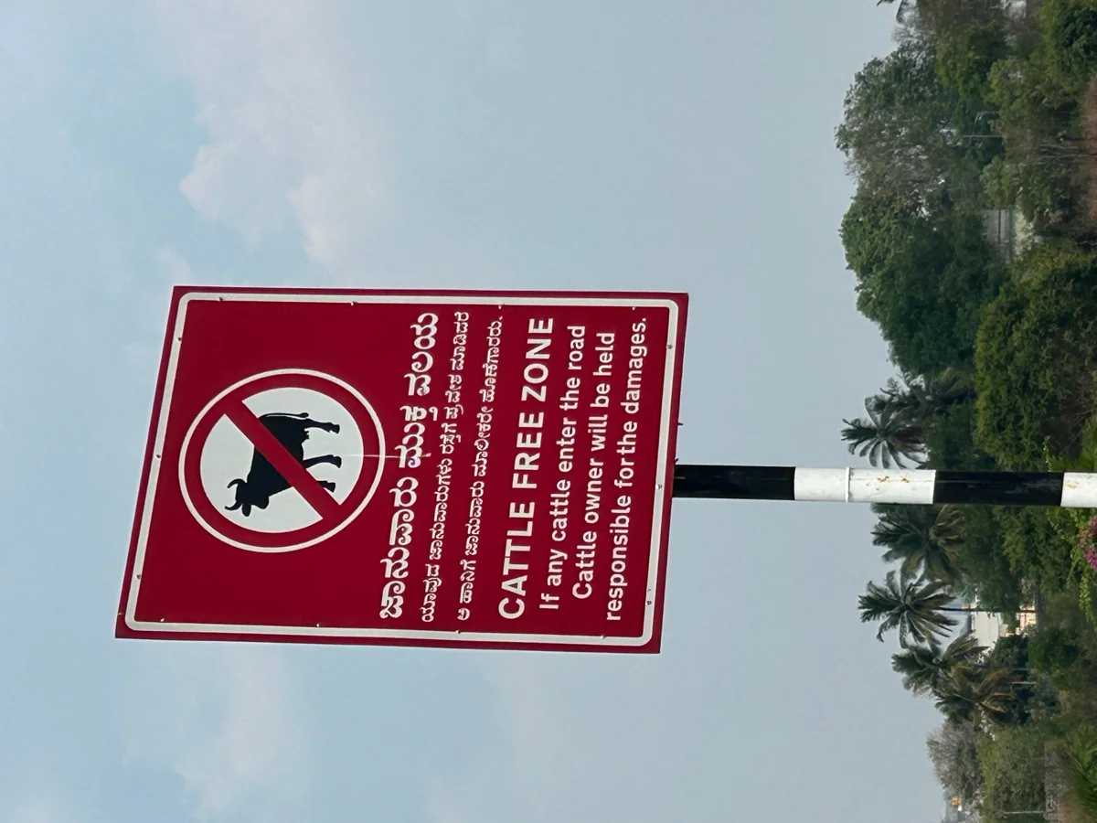 Cattle access restrictions and a collage imagining future routes