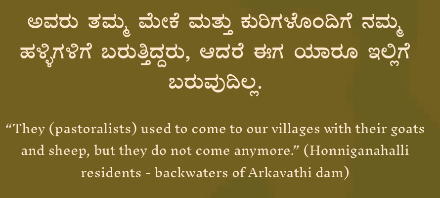 They (pastoralists) used to come to our villages with their goats and sheep, but they do not come anymore. — Honniganahalli residents, backwaters of Arkavathi dam