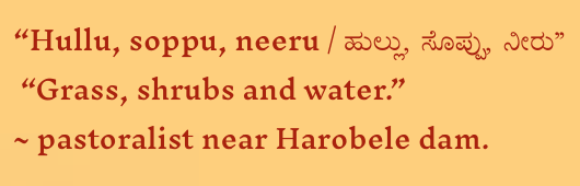 Hullu, soppu, neeru — Grass, shrubs and water. — Pastoralist near Harobele dam