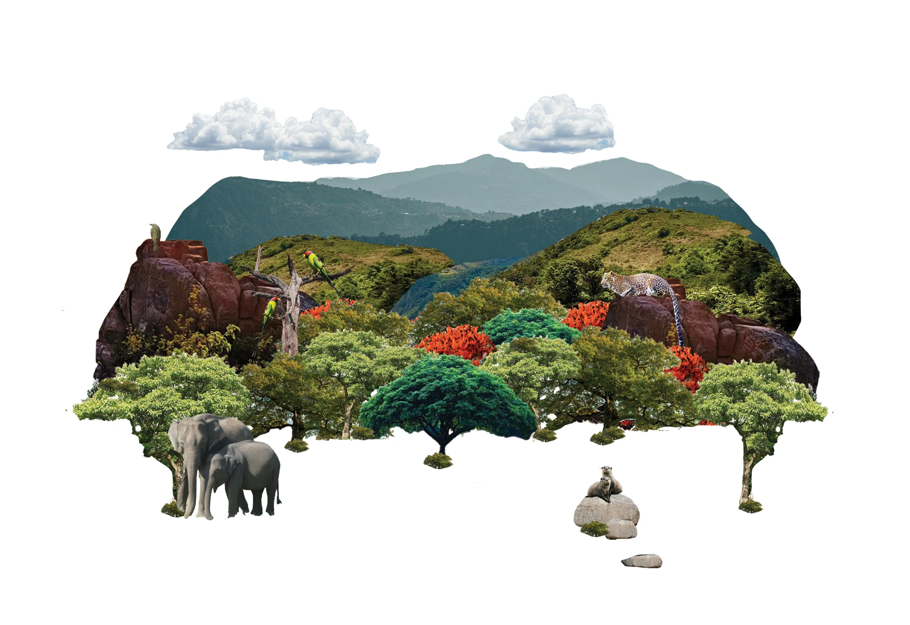 Kaveri Wildlife Sanctuary, view 1